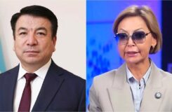 Бейсембаев требует от Бажкеновой публикаций о своём профессионализме