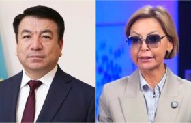 Бейсембаев требует от Бажкеновой публикаций о своём профессионализме