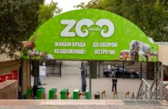 Алматинцы смогут получить бесплатные билеты в зоопарк, собирая жёлуди