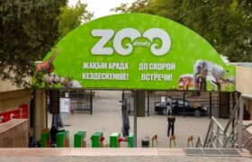 Алматинцы смогут получить бесплатные билеты в зоопарк, собирая жёлуди