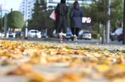 Какая погода будет в Казахстане 11 октября
