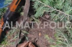 В Алматы нашли ружье в мусоре