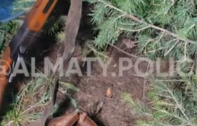 В Алматы нашли ружье в мусоре