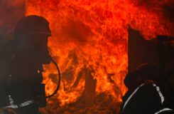Пожар в школе в Алтайском крае охватил площадь около 900 кв. м