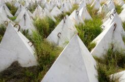 LSM: «зубы дракона» на границе с Россией съели часть сельхозземли в Латвии