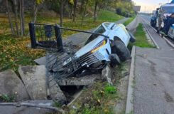 Такси упало в арык в Алматы, пострадал пассажир и, возможно, собака