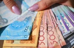 Расследование хищения 251 млн тенге субсидий на развитие АПК в Казахстане