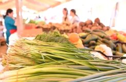 Ярмарки выходного дня в Алматы: где и когда купить продукты по доступным ценам