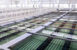 Планы по строительству объектов водоснабжения в Астане