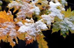 Прогноз погоды в Астане на неделю: дождь, снег и похолодание