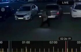 Жительница Семея оштрафована за надпись на парковке из-за спора
