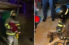 Пожар в Сатпаеве: эвакуация 14 человек и спасение кошки