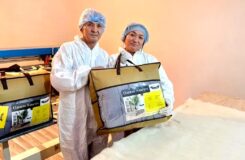 Укутать теплом: казахстанская семья шьёт комфортные одеяла, которыми укрываются даже за границей