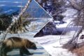 В Казахстане зафиксировали росомаху, способную выживать при −63°C