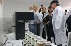 Бурхана Жолтаева из Карагандинской области открыл новый цех по производству кумыса