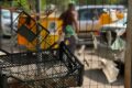 Казахстанцам грозит штраф до 20 МРП за мусор у подъезда и в парке