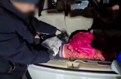 Полицейские изъяли три килограмма мефедрона в автомобиле на въезде в Астану