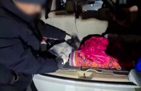 Полицейские изъяли три килограмма мефедрона в автомобиле на въезде в Астану
